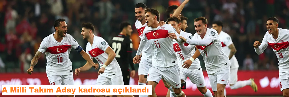 A Milli Takım Aday kadrosu açıklandı
