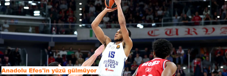 Anadolu Efes