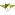 Moreirense